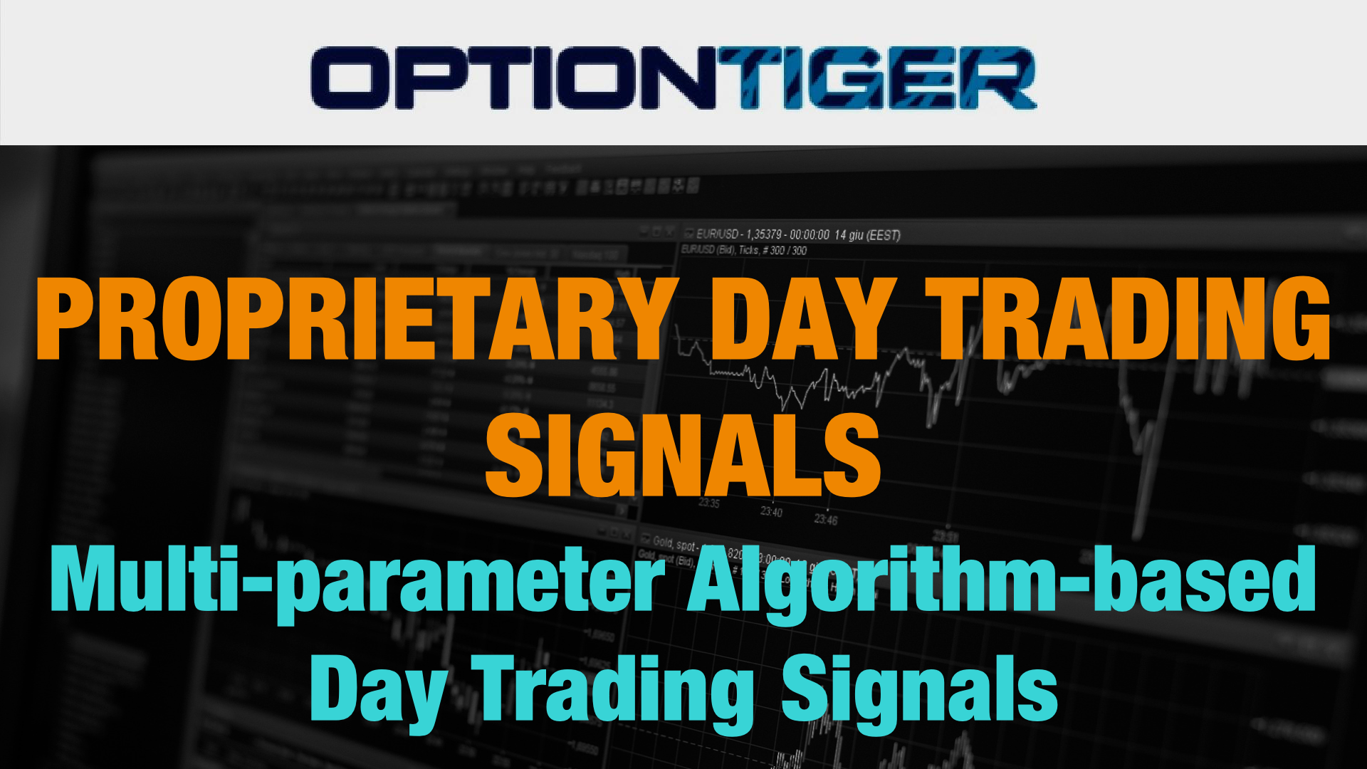 Proprietary Day Trader